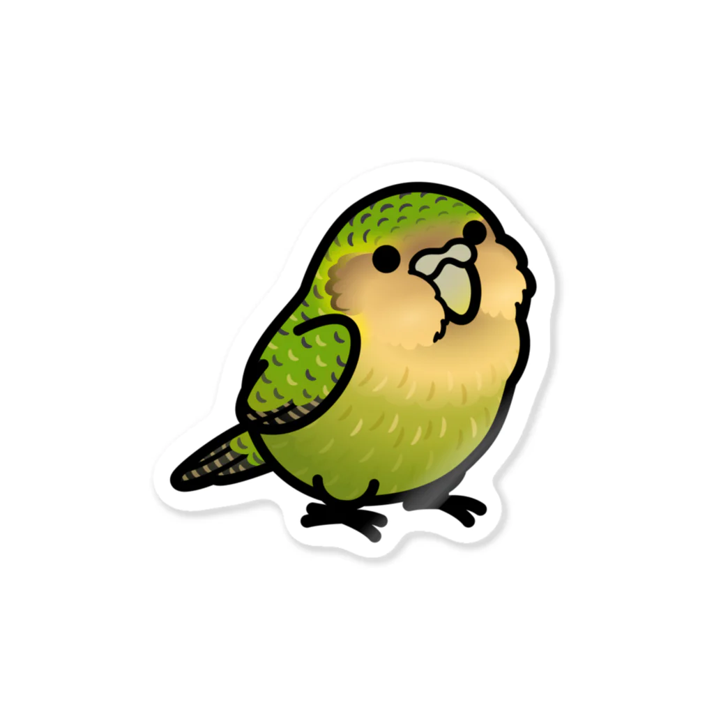 Cody the LovebirdのChubby Bird カカポ ステッカー