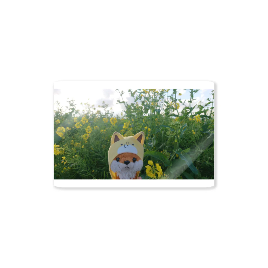 ❦ほっこり(*´ω｀*)さん🦊🌟*ೄ🌹🏵️ *ೄ*のコギツネちゃん Sticker