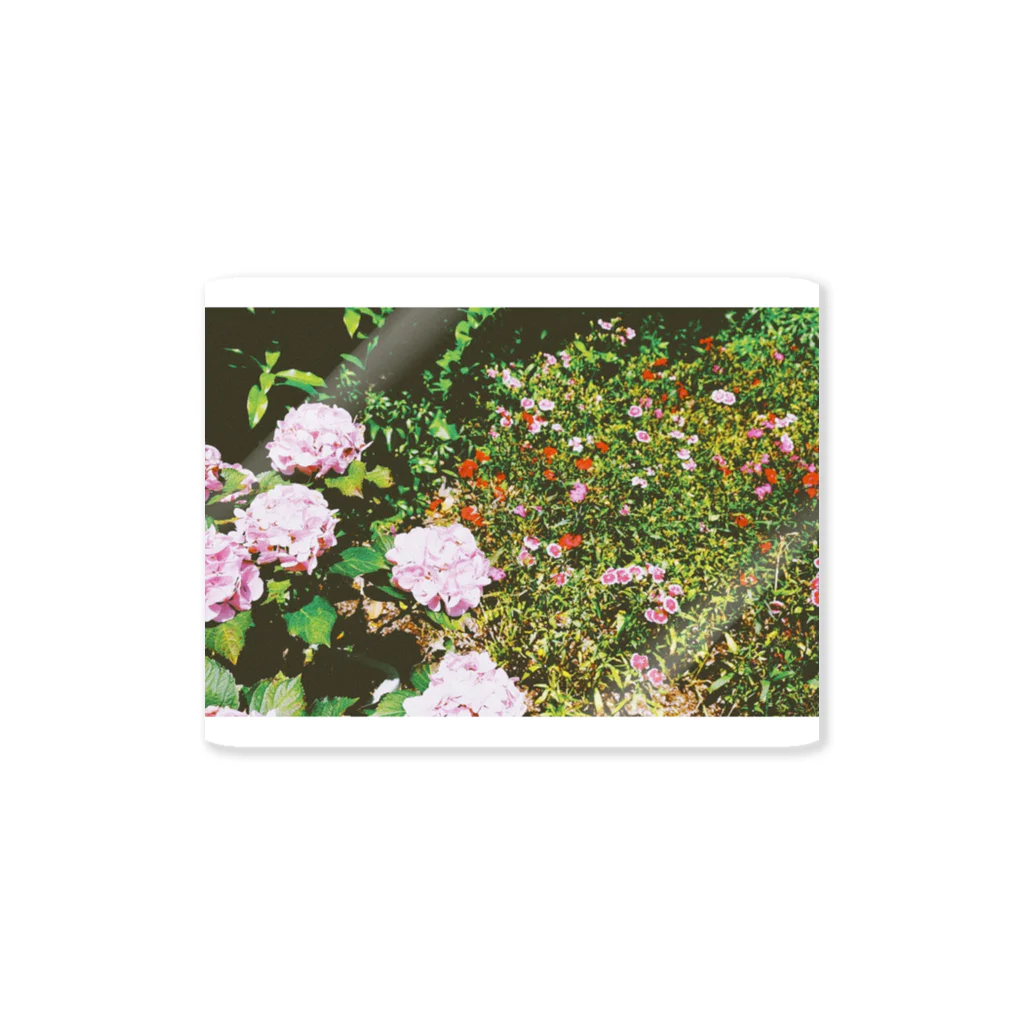 あこがれの花畑2 Sticker