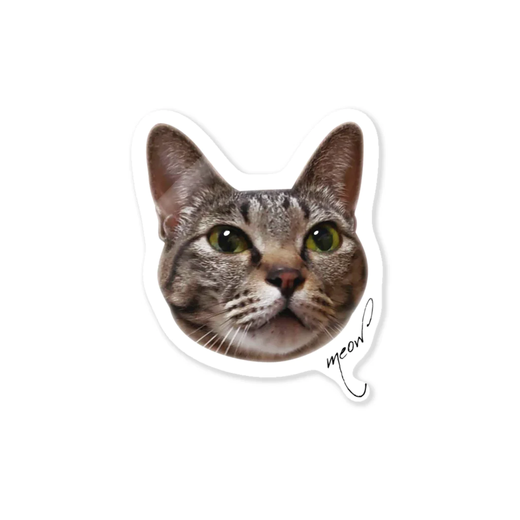 猫ざんまいのトラねこ Sticker