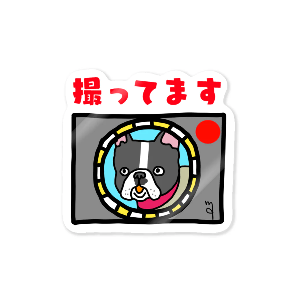 ボーイ君のお散歩の撮ってますマネージャーさん Sticker