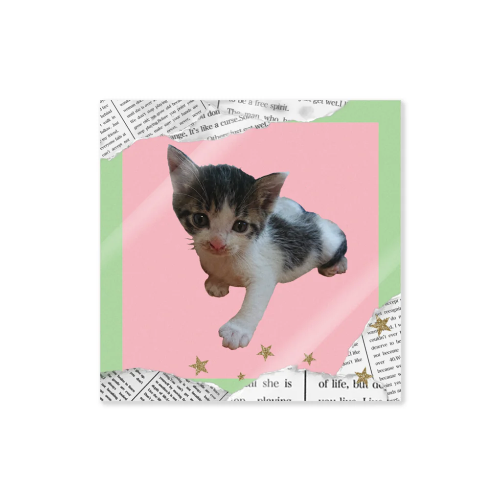 めぐにかの猫・ぶっちぃ Sticker