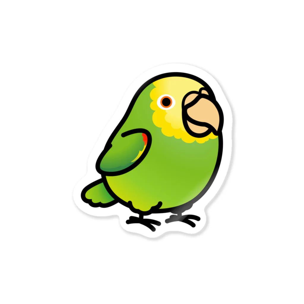 Cody the LovebirdのChubby Bird オオキボウシインコ Sticker