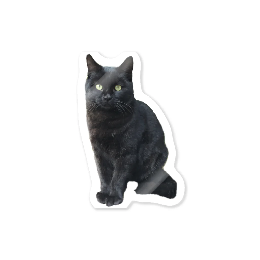 AKのくろ　ねこ Sticker