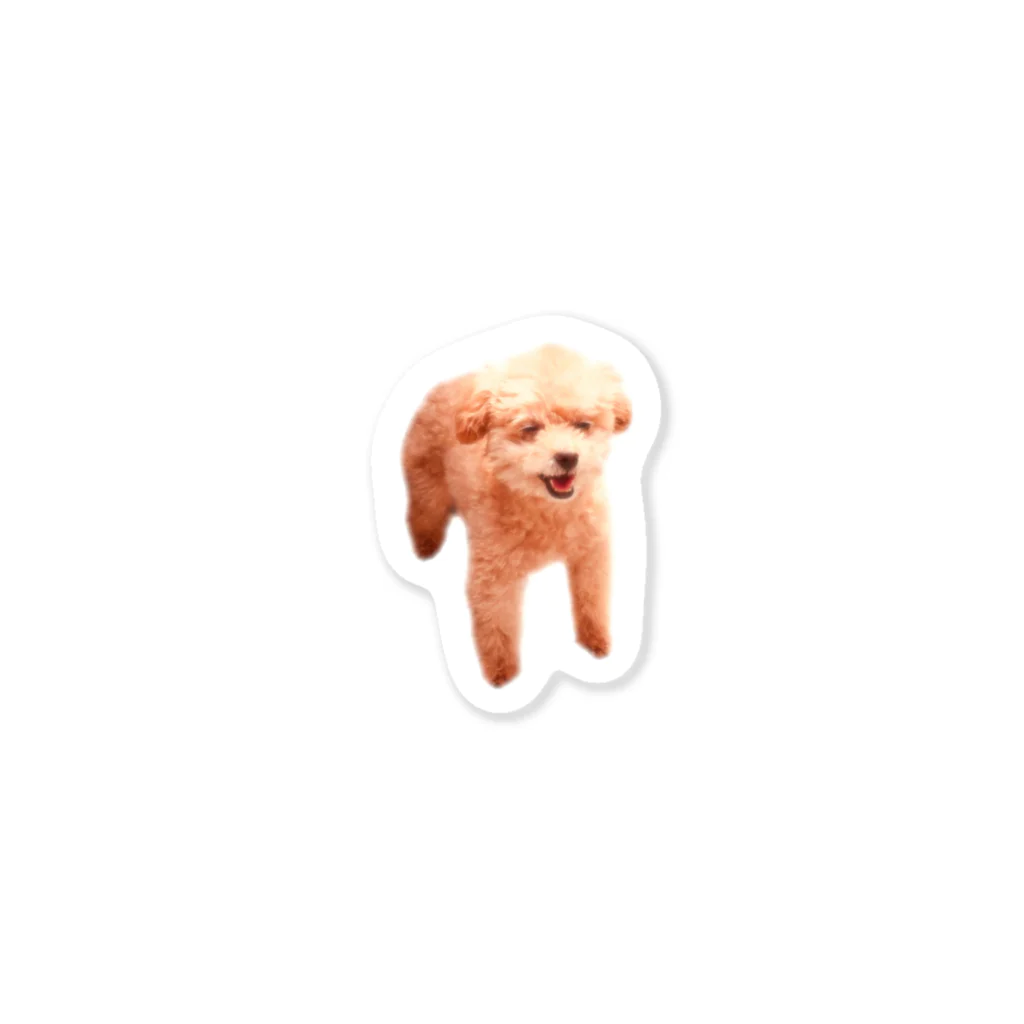 ぶぅちょろ🐶🐻🧡のにこにこめいちゃん🐣 Sticker