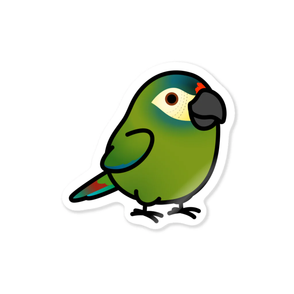 Cody the LovebirdのChubby Bird　アカビタイヒメコンゴウインコ Sticker