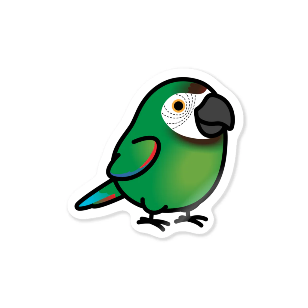 Cody the LovebirdのChubby Bird　ヒメコンゴウインコ Sticker