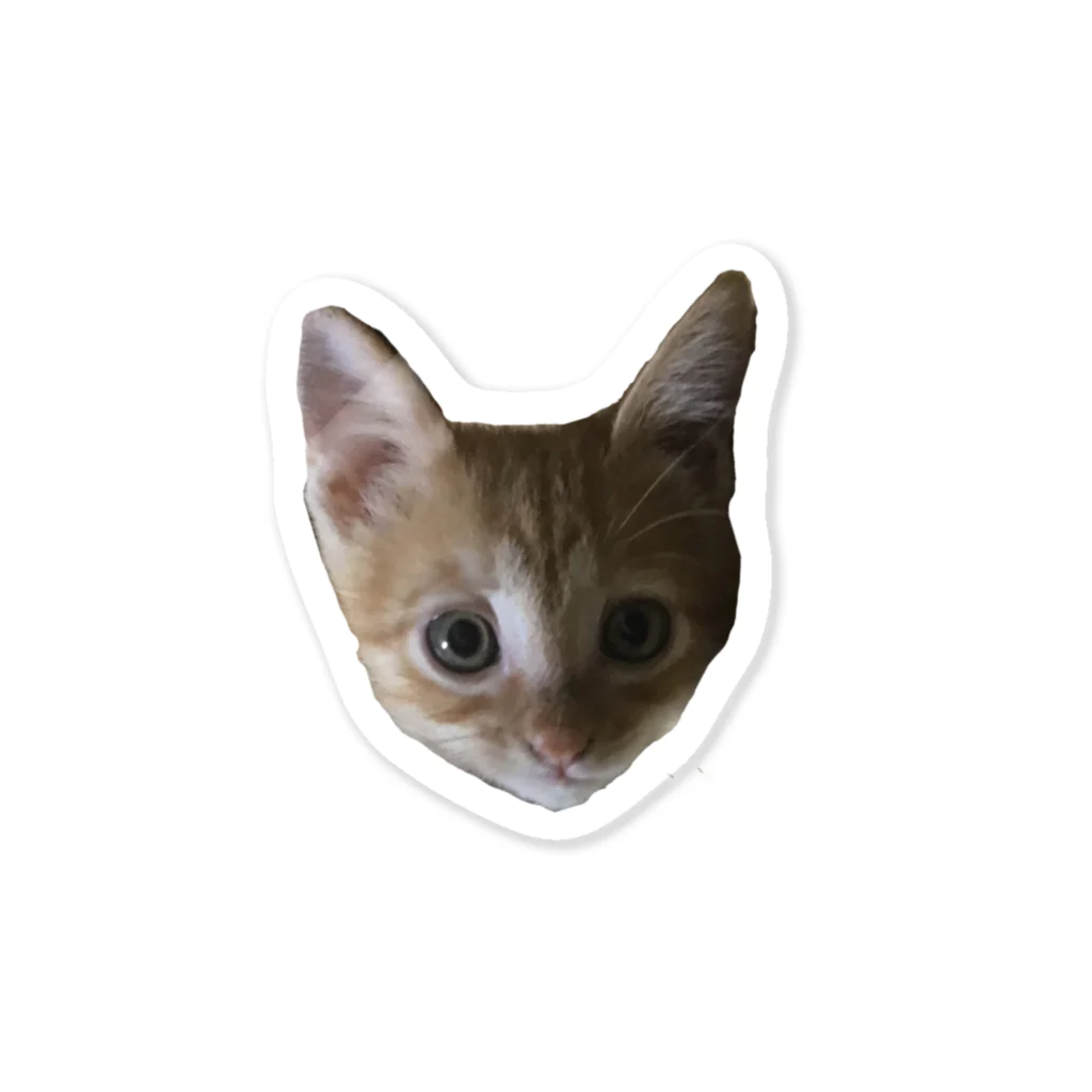 猫ねこネコ!チャム&シロのチャム幼少期 Sticker