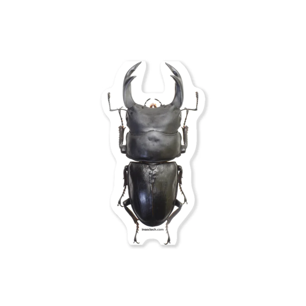 insectech.comのオオクワガタ Sticker