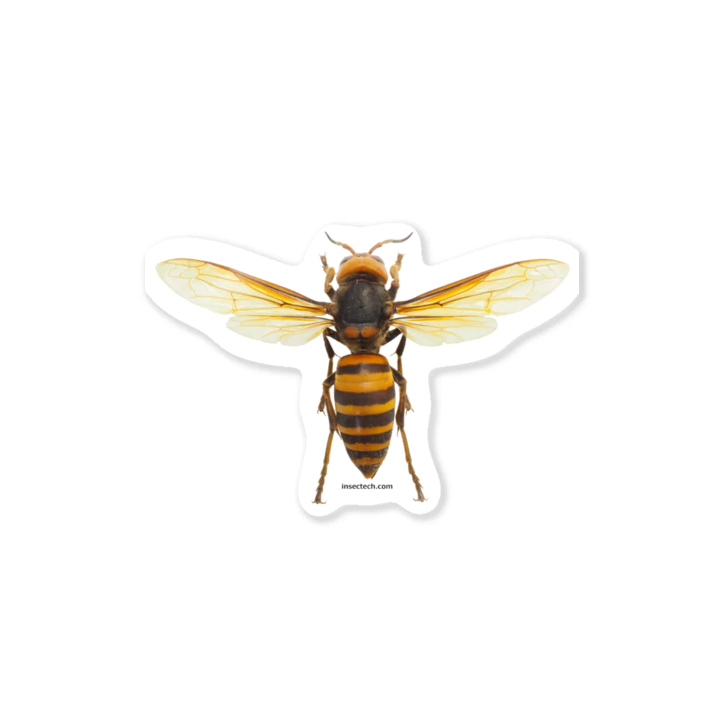 insectech.comのオオスズメバチ女王 Sticker