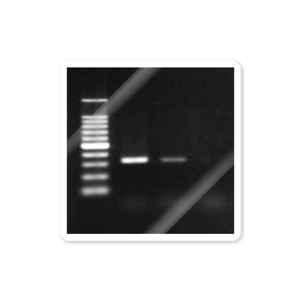 あにまきな工房の泳動はええど / Electrophoresis is good. ステッカー