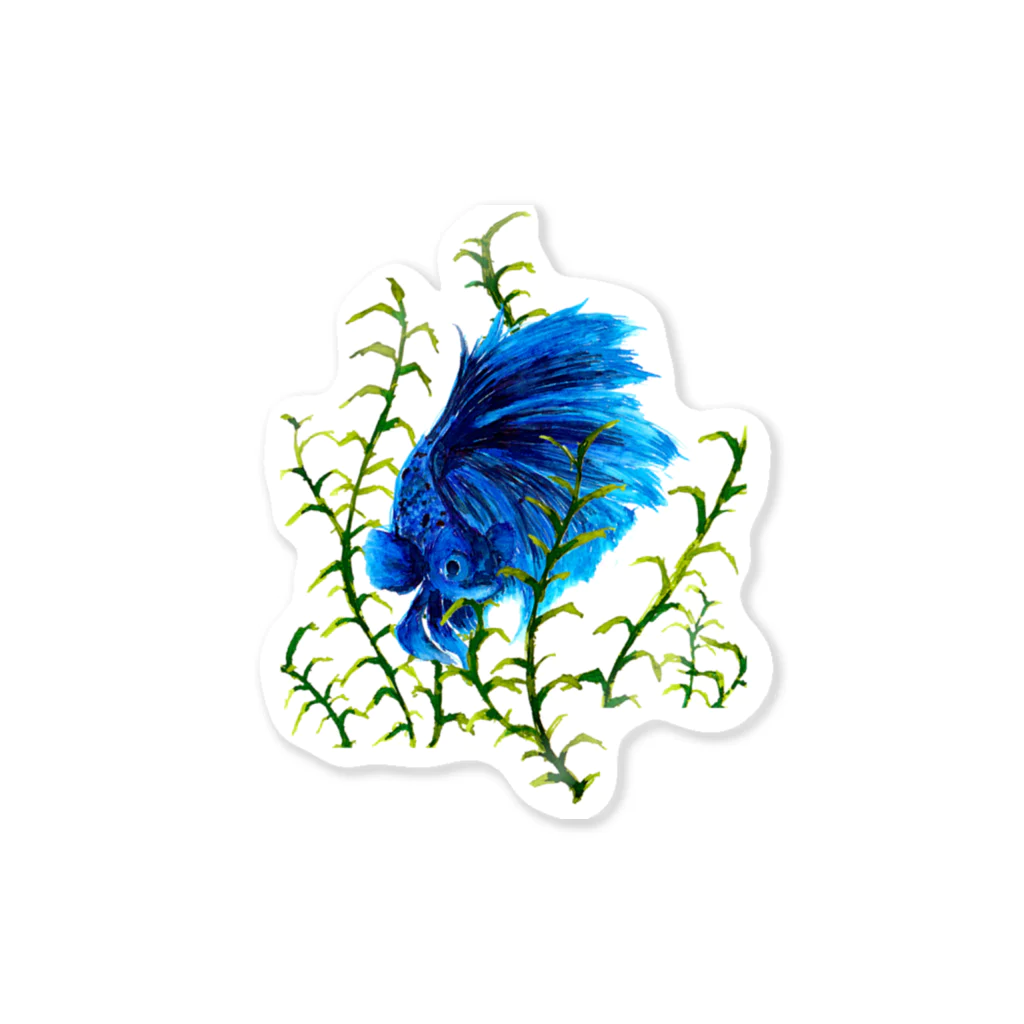 Aquarium No.31のインクベタ Sticker