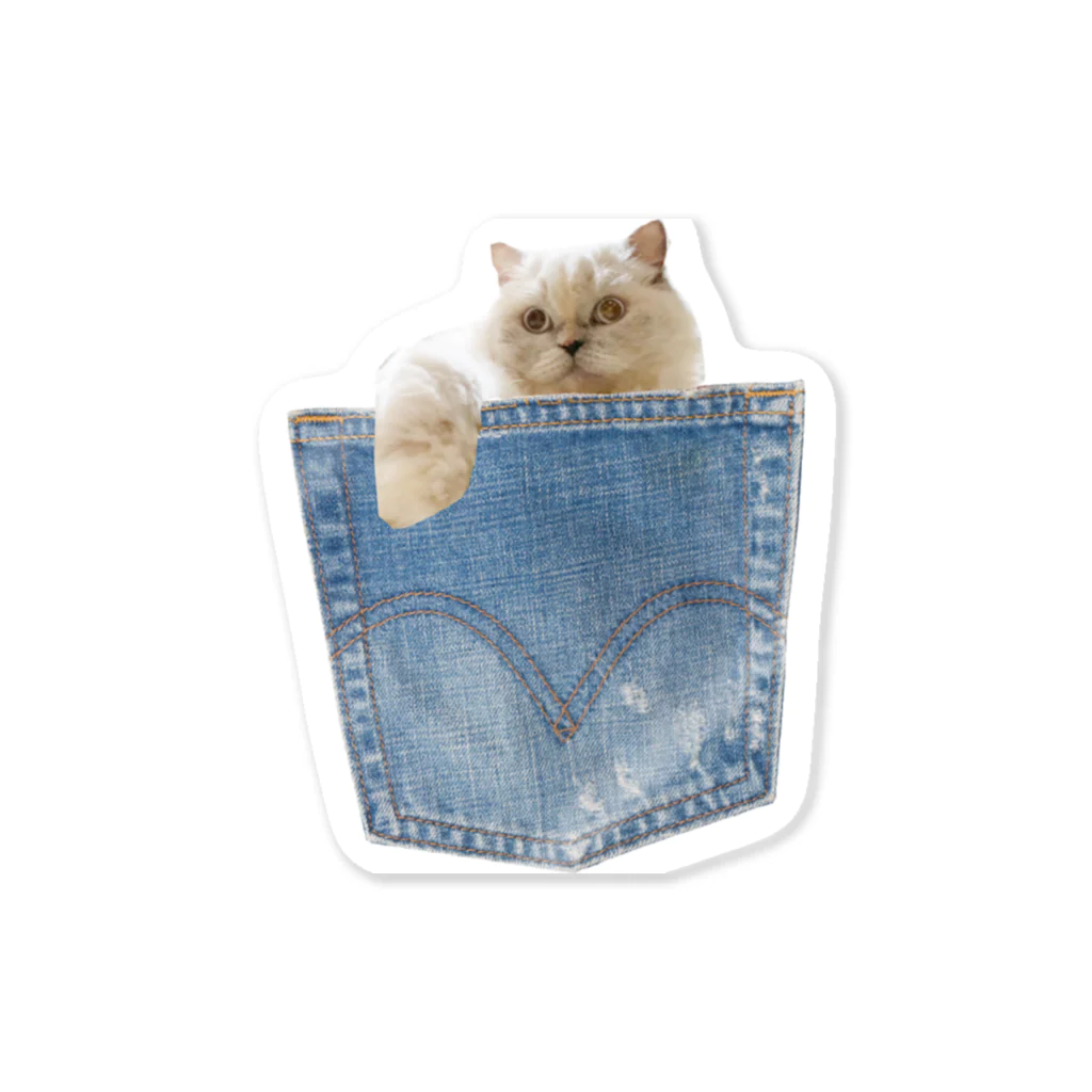kironyのネコちゃんinポッケ Sticker