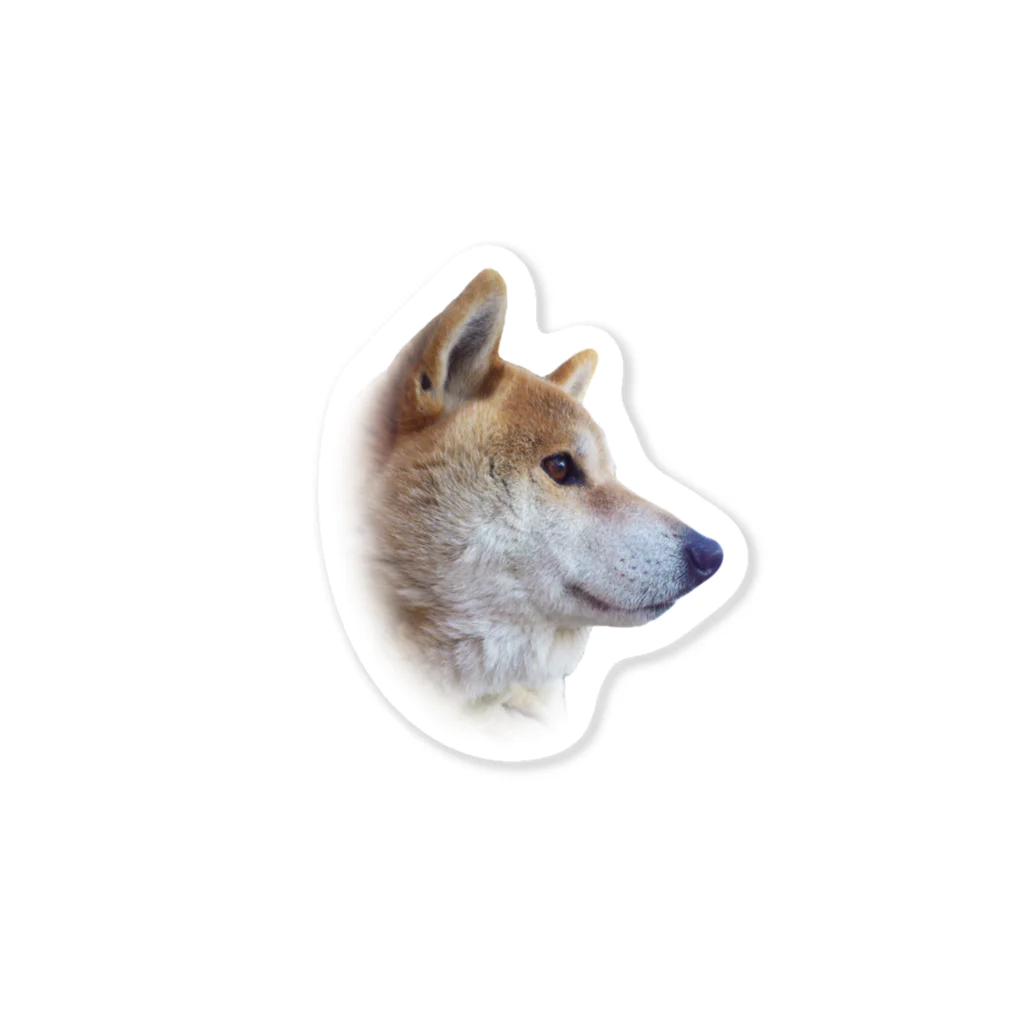 愛犬太郎のグッズの太郎の横顔【柴犬】 Sticker