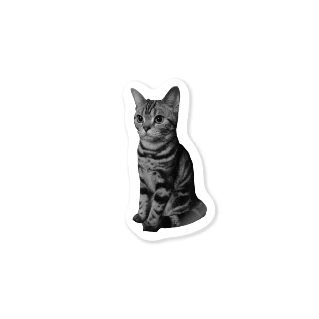 猫の事務所のねこ７ Sticker