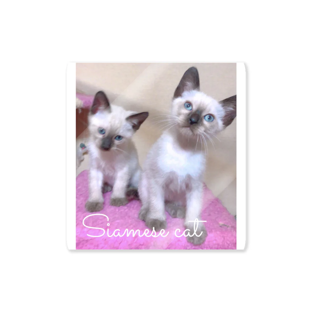 Siamese cat シャムのSiamese cat シャム猫 ステッカー