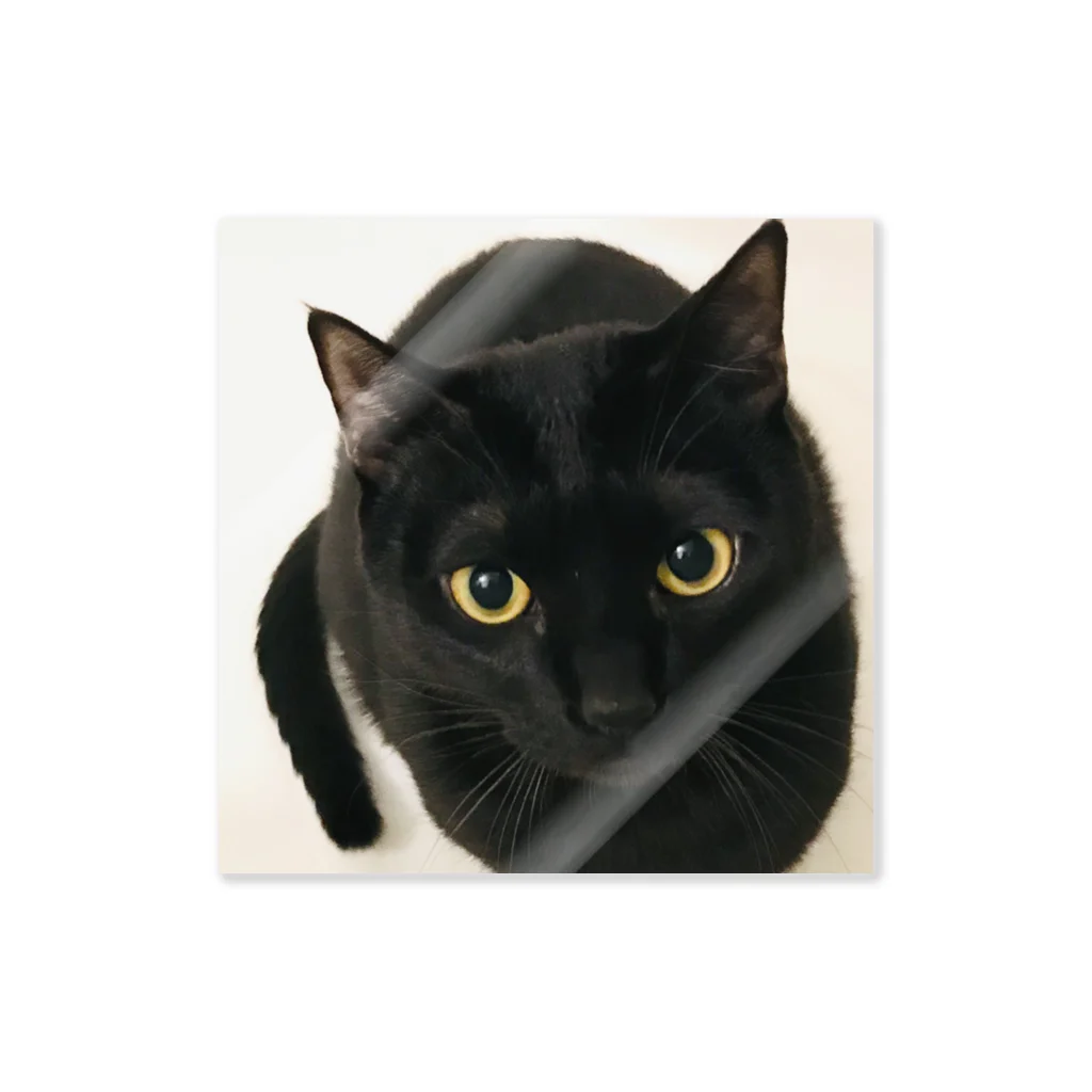 猫月♄志織♄の黒猫の零衣(れい)ちゃん ステッカー