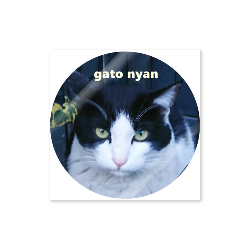 gato nyan