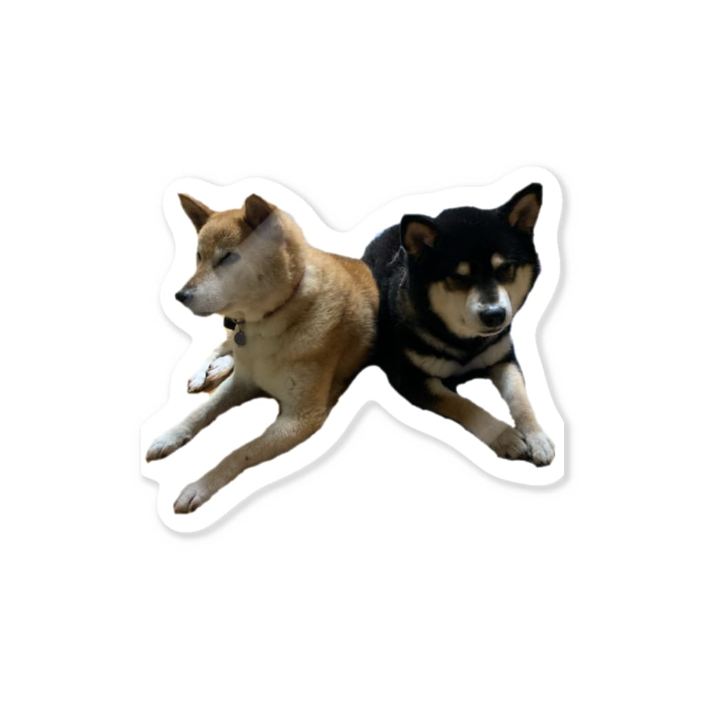 柴犬と柴犬の柴犬2頭 Sticker
