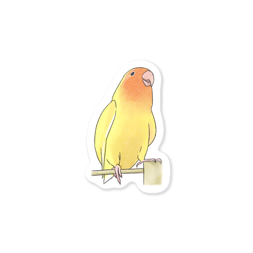 まめるりはことりの得意げ可愛い　コザクラインコちゃん【まめるりはことり】 ステッカー