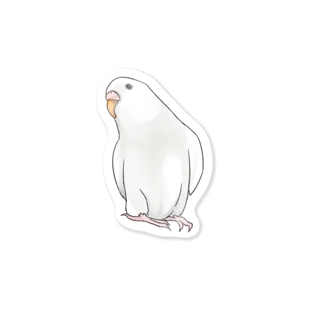 まめるりはことりのアルビノセキセイインコちゃん【まめるりはことり】 Sticker