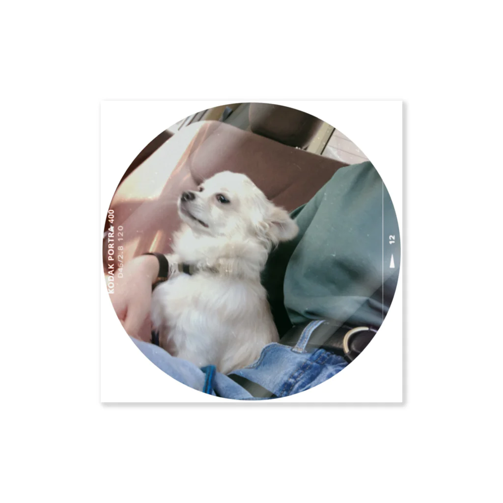 Cyamsumsの僕の犬ステッカー Sticker