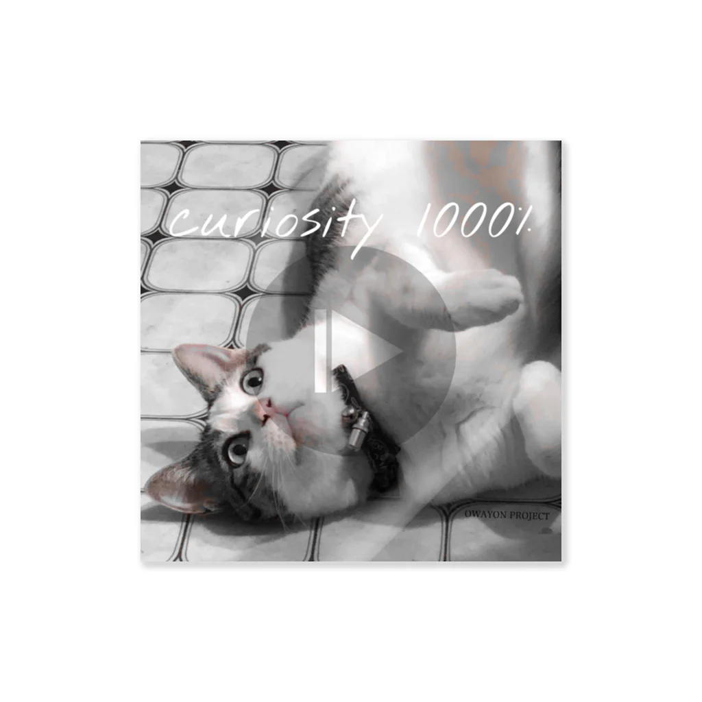 OWAYON ∞ （オワヨン　インフィニティ）の【1000％シリーズ　curiosity cat】 ステッカー