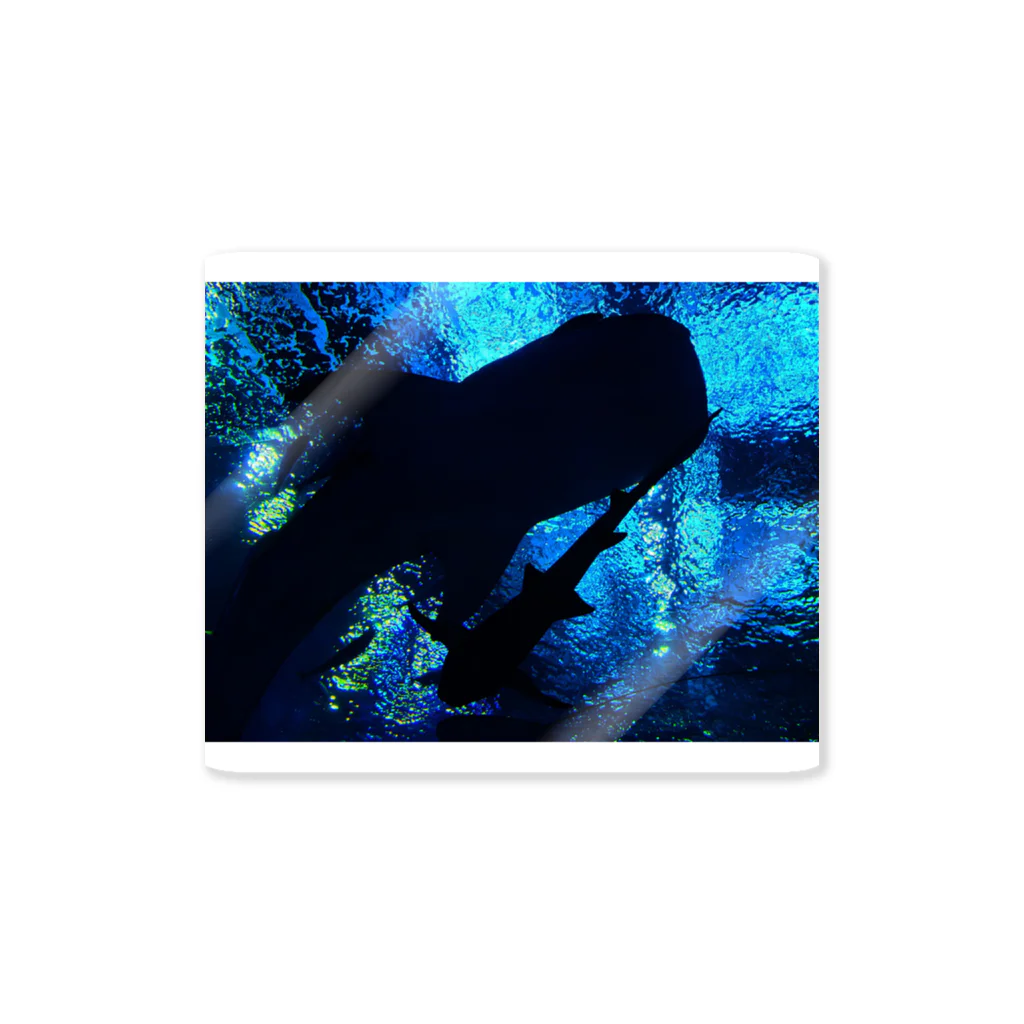 yama164のジンベエザメの影 Sticker