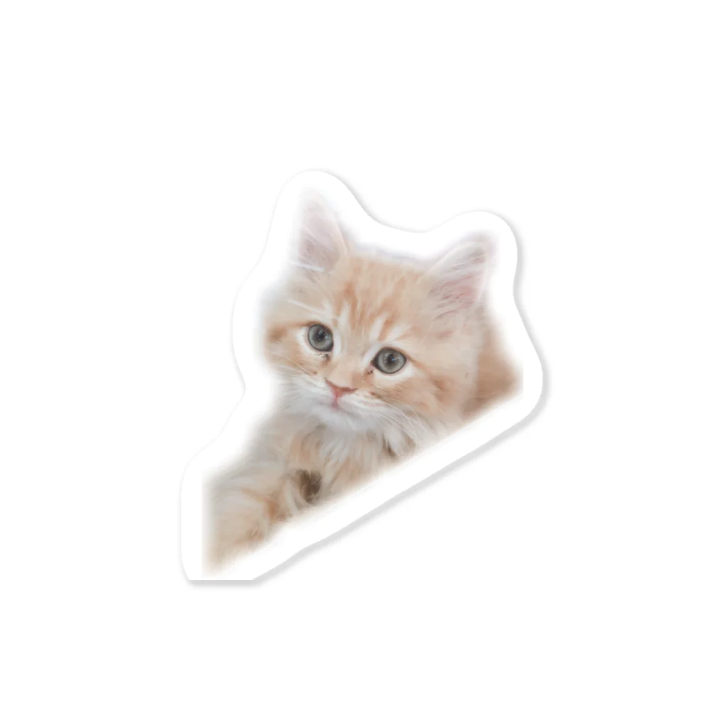 noBodyのねこー Sticker