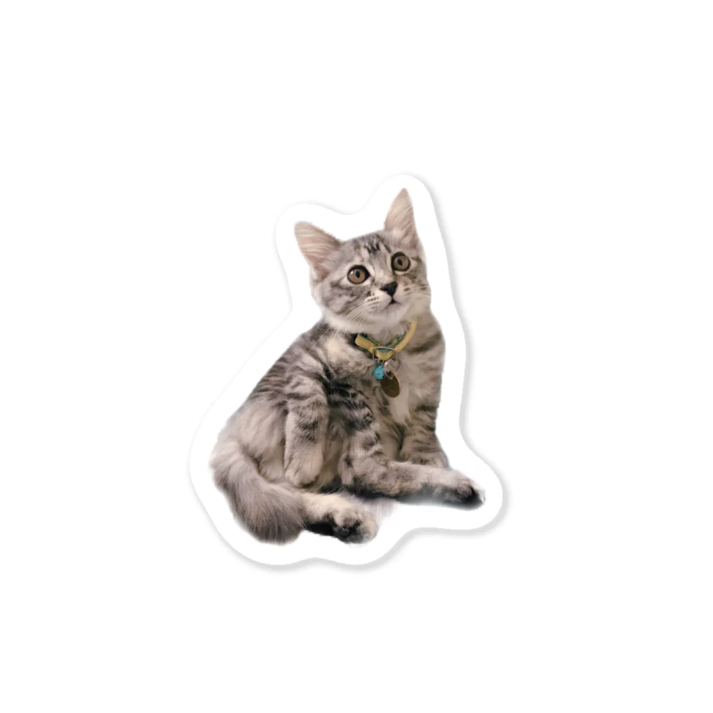うちのネコチャンのお座りネコチャン Sticker