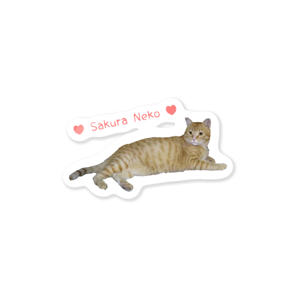 えみちーず（元野良と保護猫の為に🐾）のチャトラまったり🐾（さくら猫） Sticker