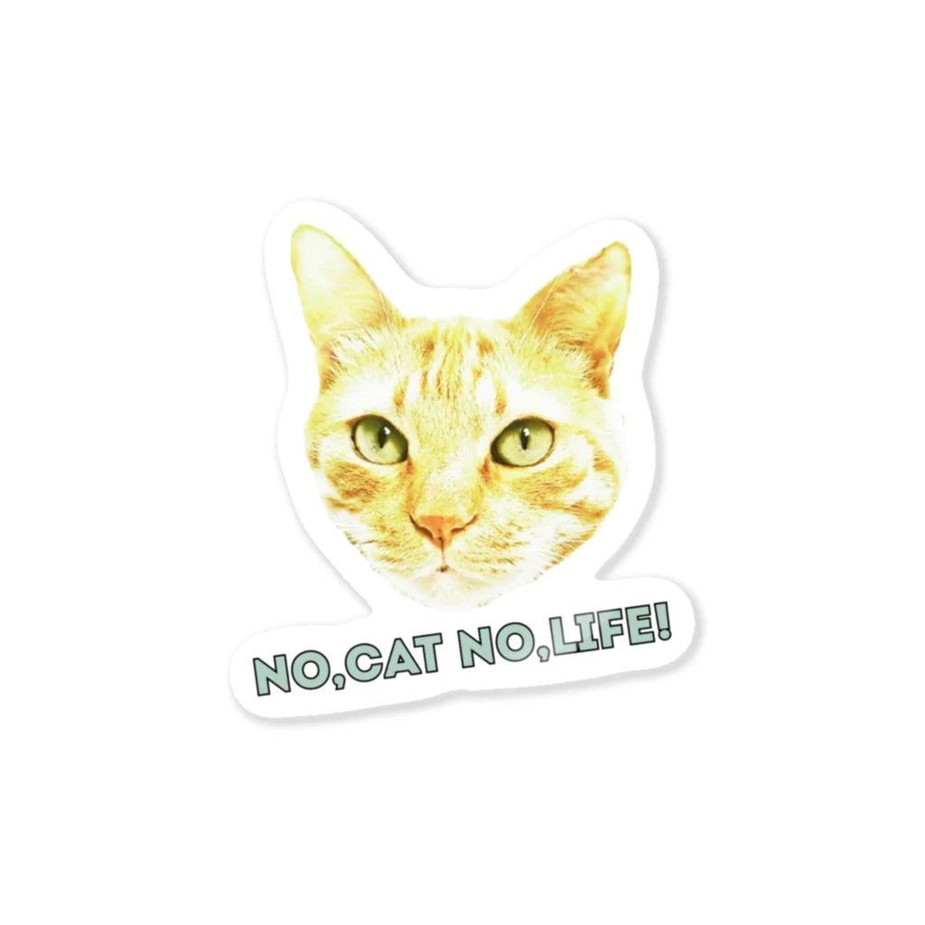 CYA-TO-RAのNO,CAT NO,LIFE! Sticker