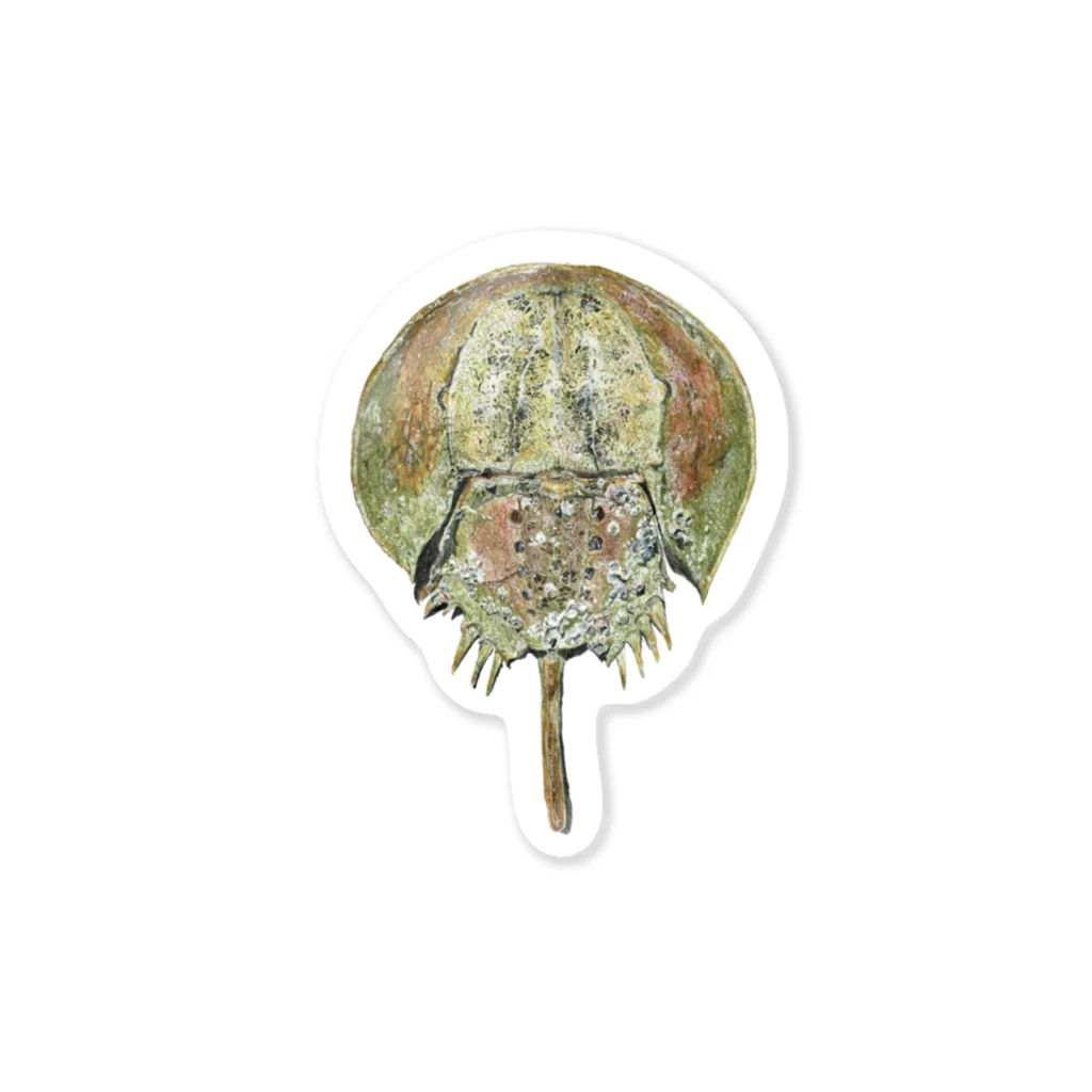 Kanon Tanakaのカブトガニ Tachypleus tridentatus Sticker