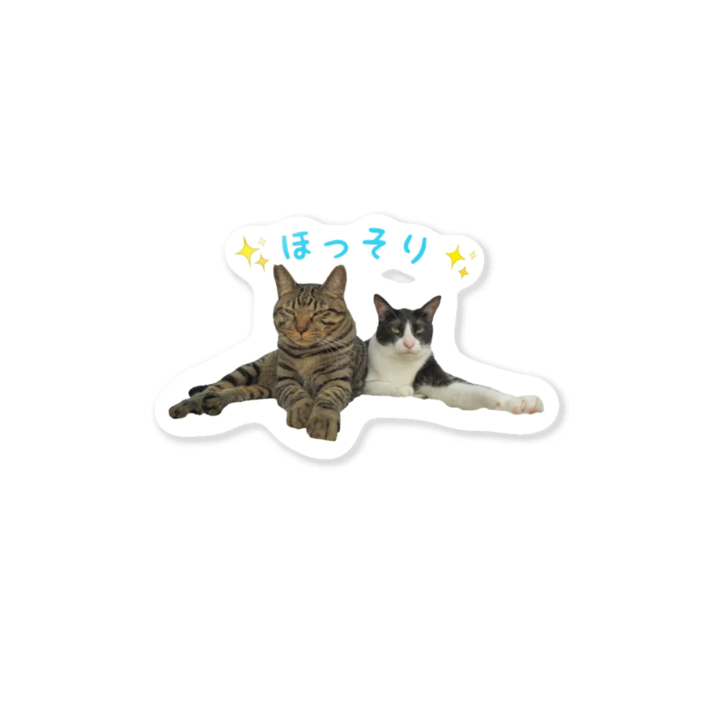 えみちーず（元野良と保護猫の為に🐾）のほっそり仲良しコンビ(キジトラ＆ハチワレ) Sticker