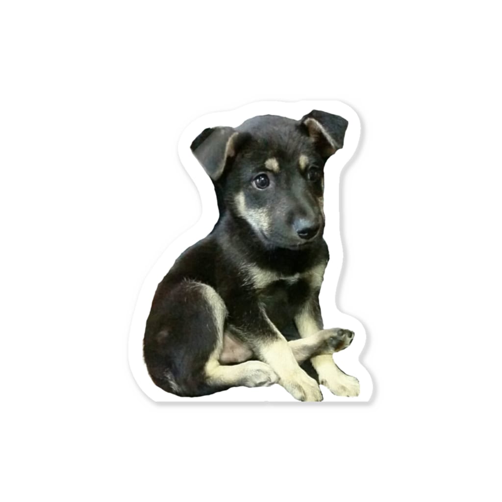 雑種犬リク 子犬ver Usagirikuのステッカー通販 Suzuri スズリ