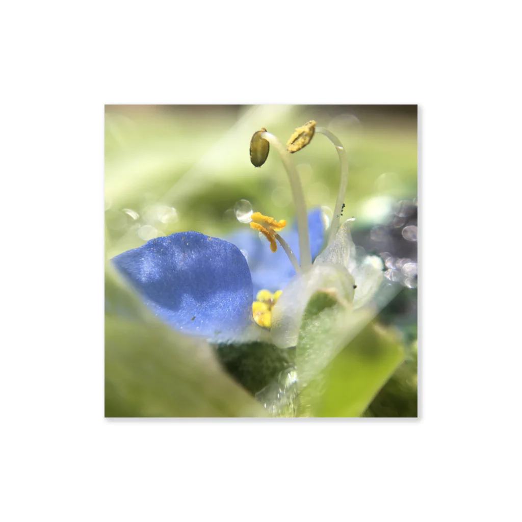 Mumearth Essenceのきらめきの花 Sticker