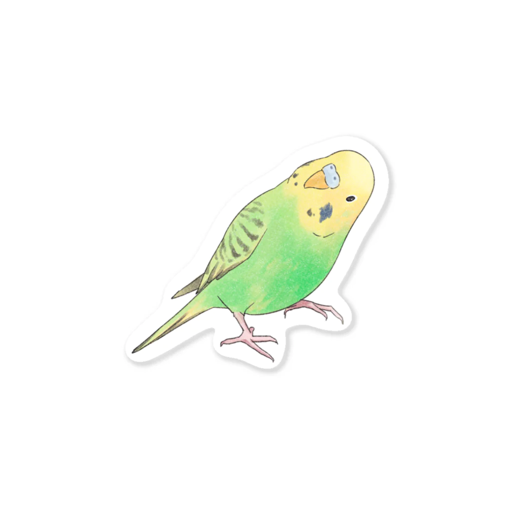 まめるりはことりの首傾げセキセイインコ　ピーちゃん【まめるりはことり】 Sticker