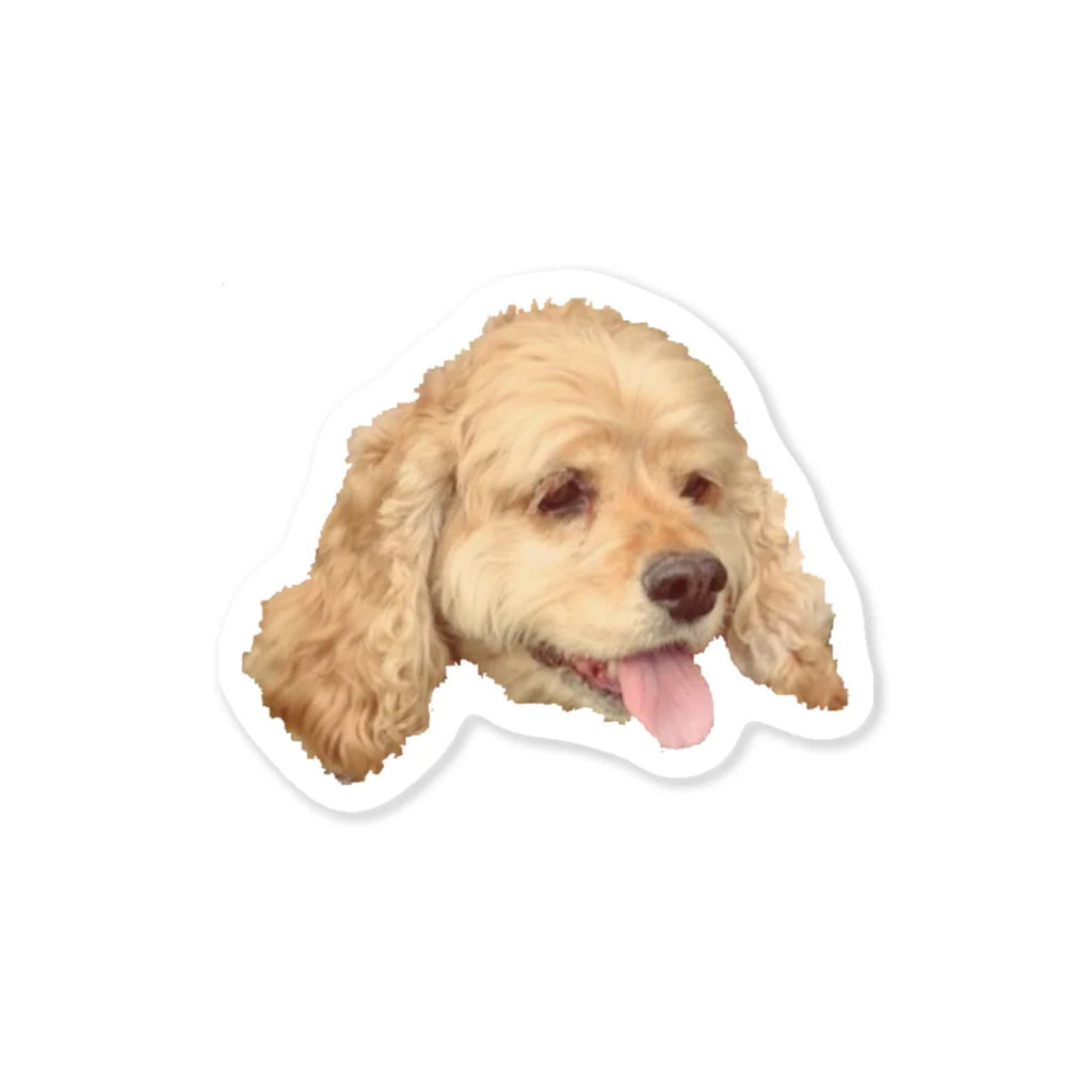 愛犬のモコさんの愛犬モコさん Sticker