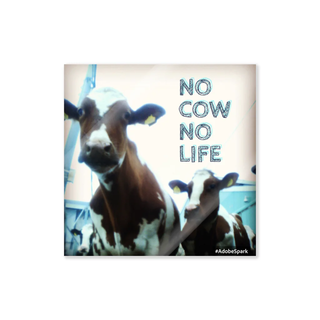 牛のTシャツ屋のNO COW NO LIFE ステッカー