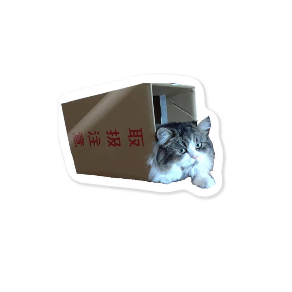 misao0125の取扱注意ねこ　サイベリアン Sticker