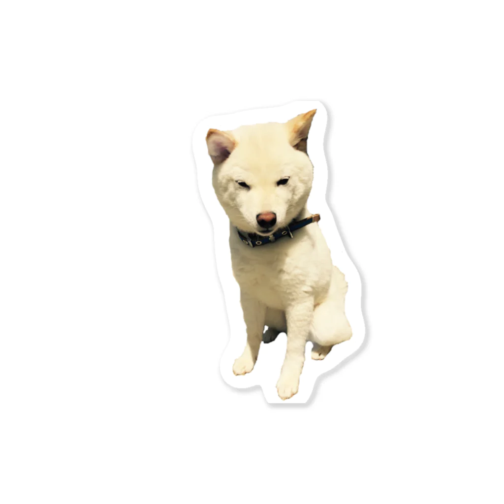 犬と猫と1日の豆柴犬のいっしんくん2 Sticker