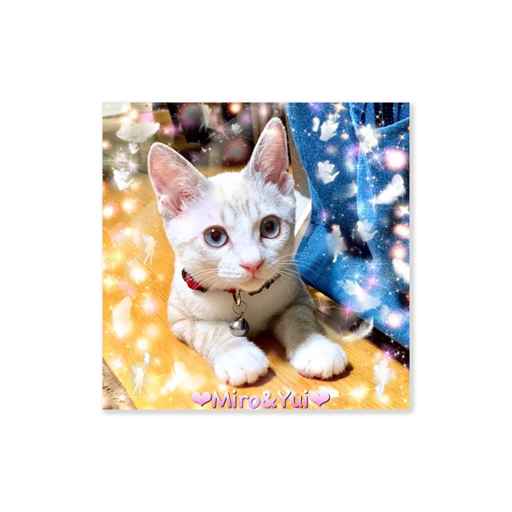 猫しゃちょうのふわふわのお友達ミロちゃんin北海道 Sticker