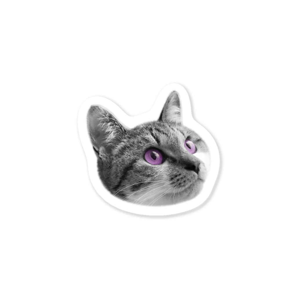 CHATONのキジシロ☆CoCo　アメジスト Sticker