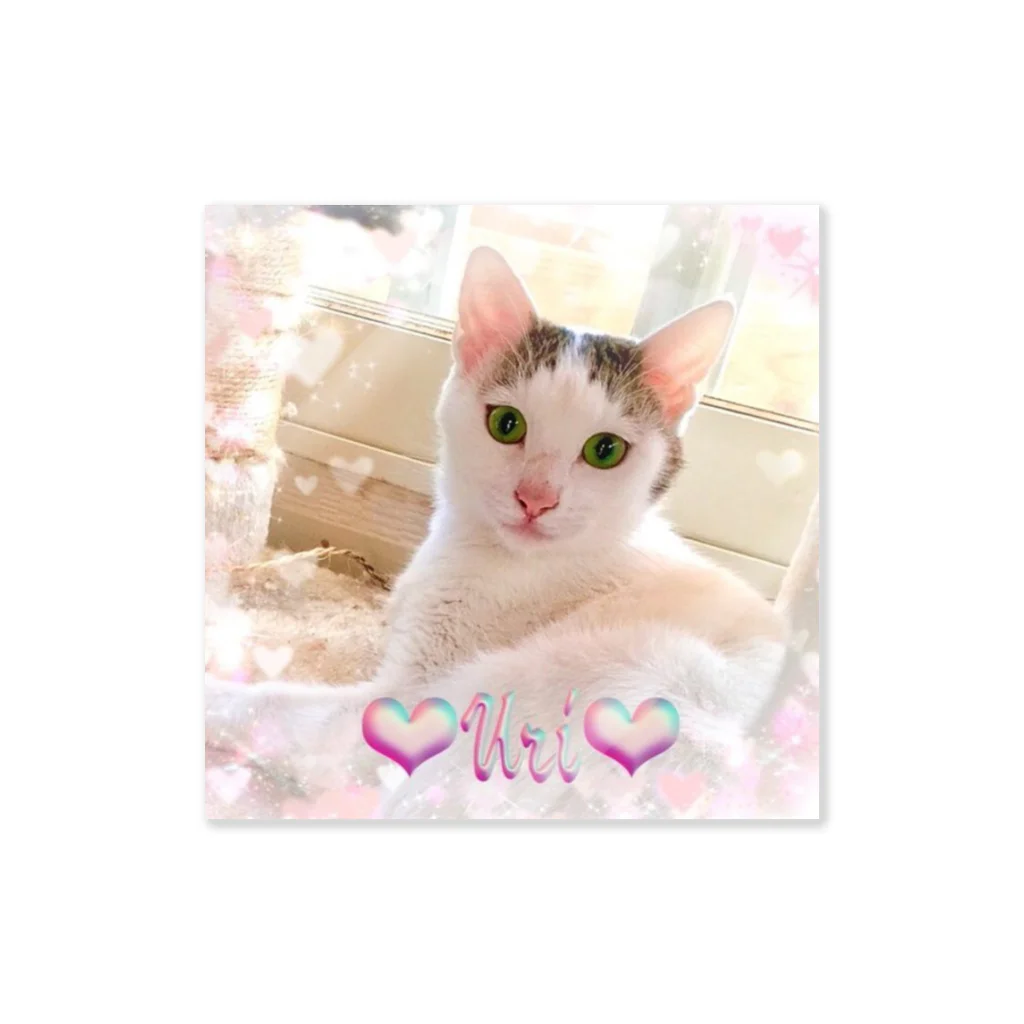 猫しゃちょうのひめぶ～さん家の、うりちゃんin北海道 Sticker