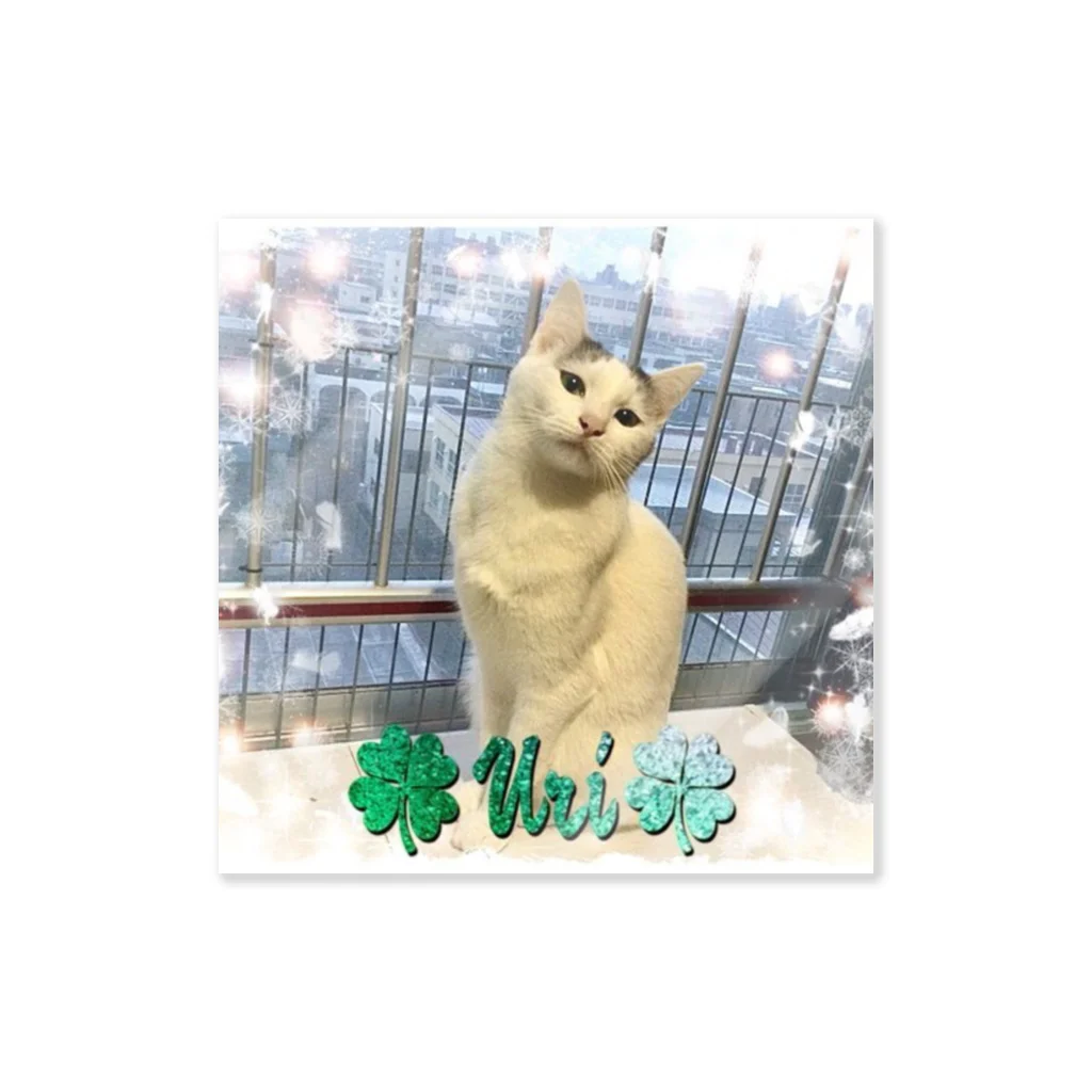 猫しゃちょうのひめぶ～さん家の、うりちゃんｉｎ北海道 Sticker