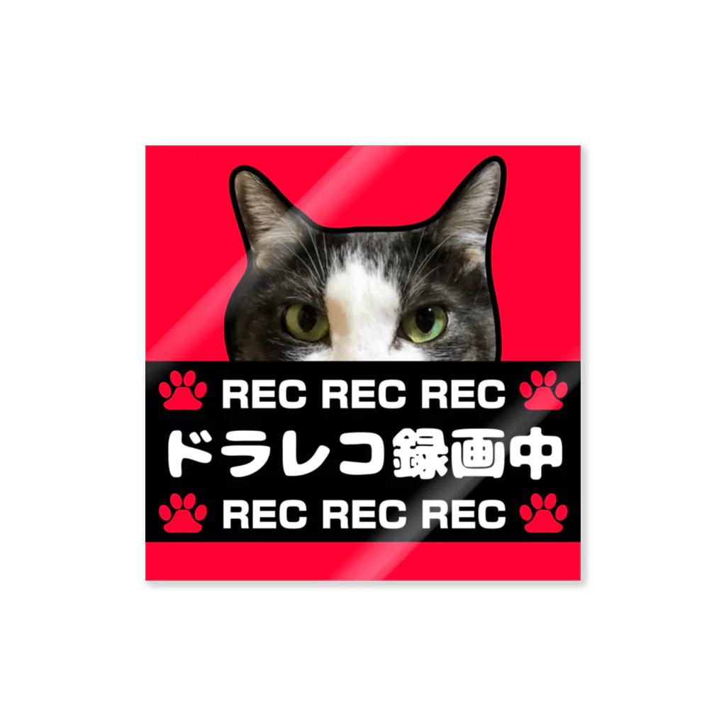 保護猫支援ショップ・パール女将のお宿のドラレコ録画中 Sticker