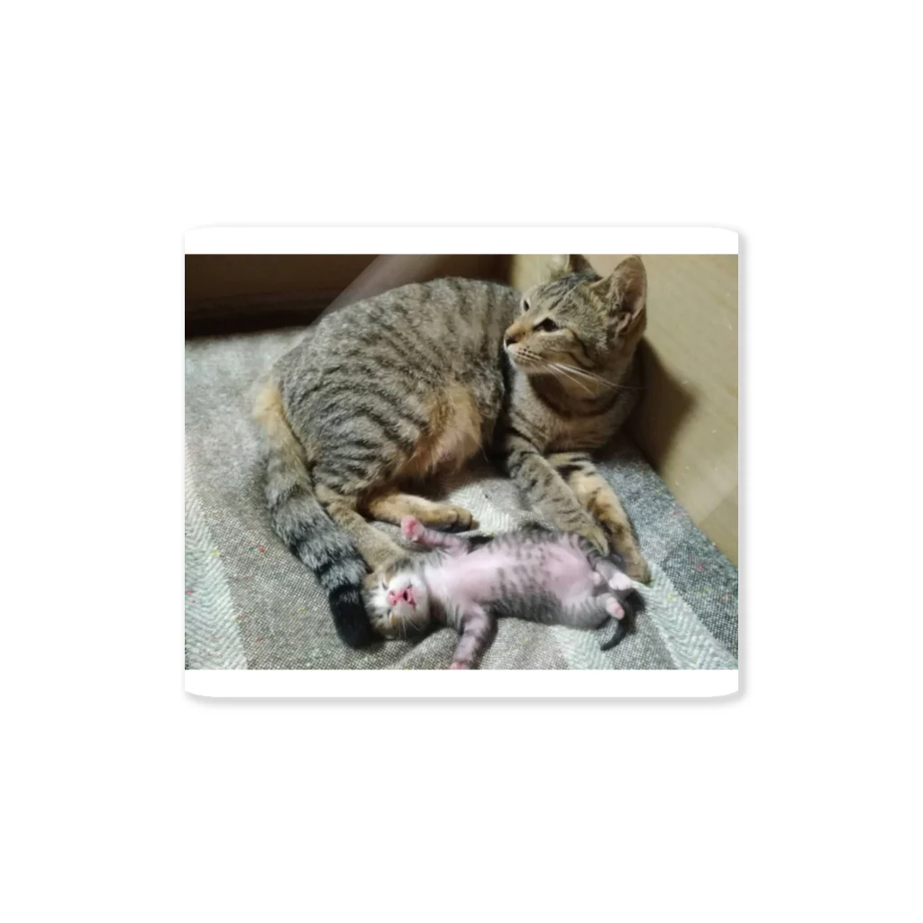 猫ちゃん犬ちゃんのご飯稼ぎの小梅母さんと赤ちゃん茂平君ステッカー Sticker