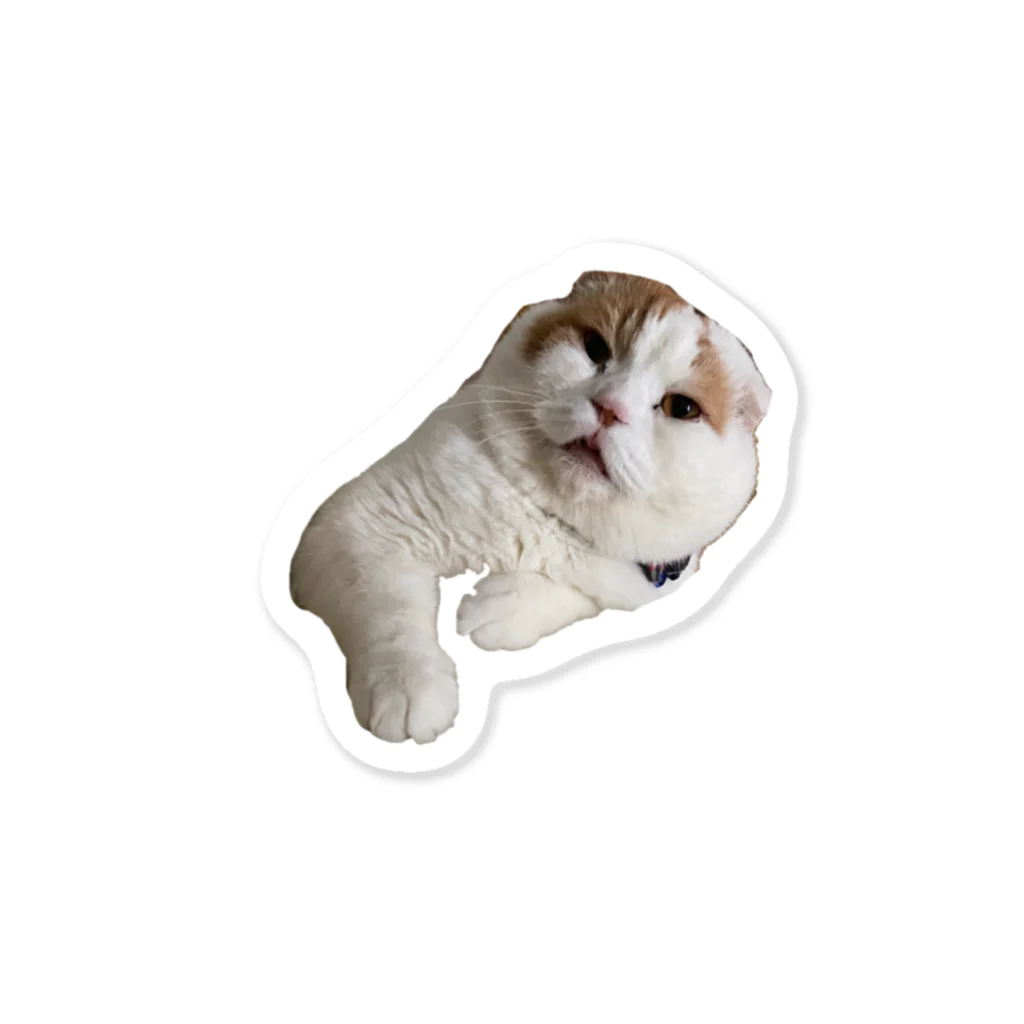 KinokoNeko@保護猫支援のおらおらな前ちゃん Sticker