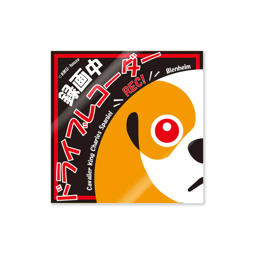 きくはうす  🐾ほぼキャバリアのキャバリアドライブレコーダー用（日本語版）ブレンハイム ステッカー