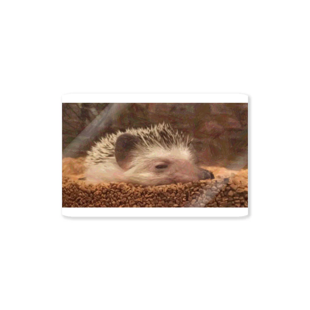 BELLAのSleepy Hedgehog ステッカー